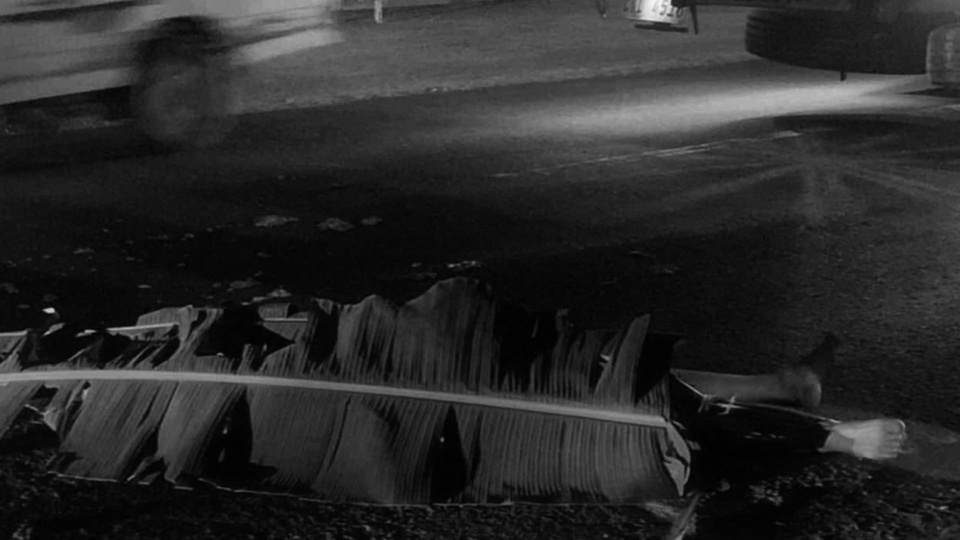 Tragic crash: motorcycle rider crushed by truck in Cebu City - Brigada News